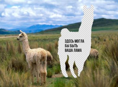 Прикрепленное изображение: L3_aNLLaQXY.jpg